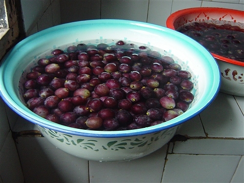 redwine-ex03.jpg